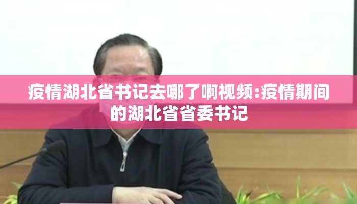 疫情湖北省书记去哪了啊视频:疫情期间的湖北省省委书记