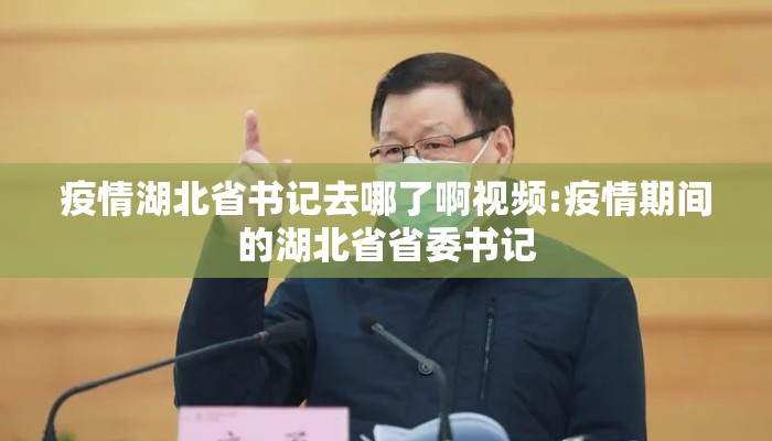 疫情湖北省书记去哪了啊视频:疫情期间的湖北省省委书记