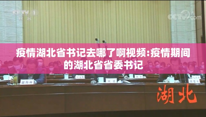 疫情湖北省书记去哪了啊视频:疫情期间的湖北省省委书记