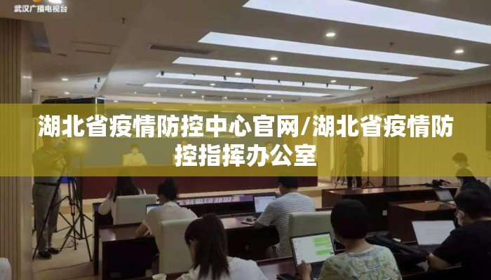 湖北省疫情防控中心官网/湖北省疫情防控指挥办公室