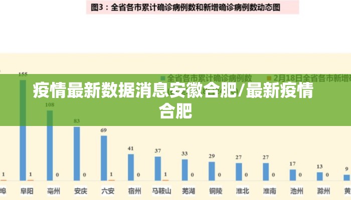疫情最新数据消息安徽合肥/最新疫情 合肥