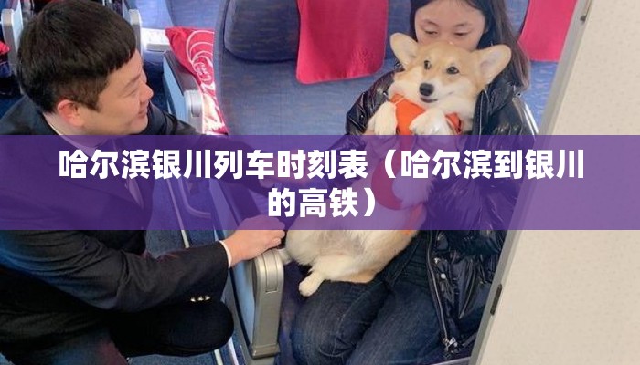 哈尔滨银川列车时刻表（哈尔滨到银川的高铁）