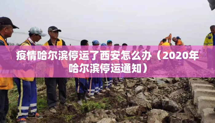 疫情哈尔滨停运了西安怎么办（2020年哈尔滨停运通知）