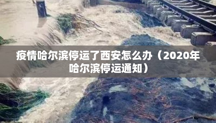 疫情哈尔滨停运了西安怎么办（2020年哈尔滨停运通知）
