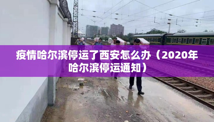 疫情哈尔滨停运了西安怎么办（2020年哈尔滨停运通知）