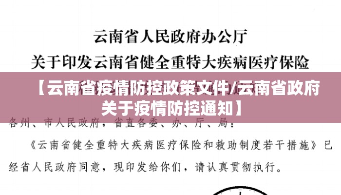 【云南省疫情防控政策文件/云南省政府关于疫情防控通知】 【云南省疫情防控政策文件/云南省政府关于疫情防控通知】