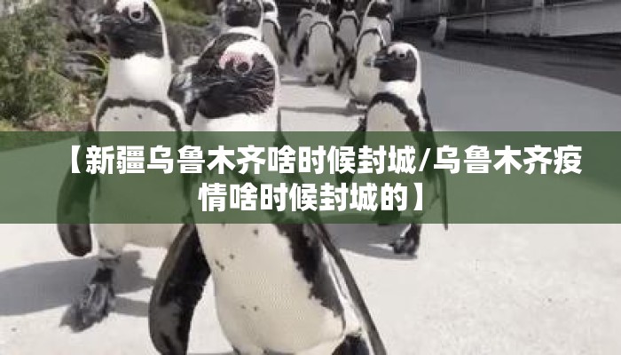 【新疆乌鲁木齐啥时候封城/乌鲁木齐疫情啥时候封城的】
