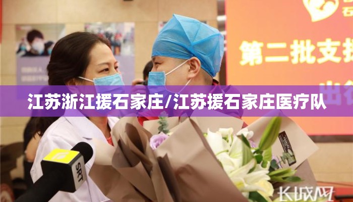 江苏浙江援石家庄/江苏援石家庄医疗队