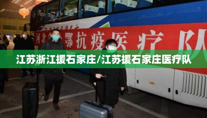 江苏浙江援石家庄/江苏援石家庄医疗队
