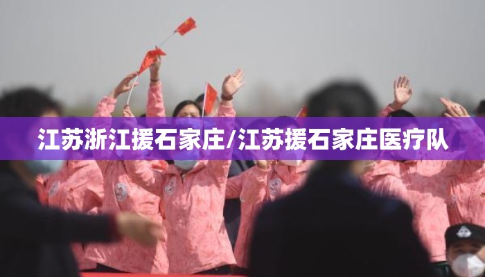 江苏浙江援石家庄/江苏援石家庄医疗队