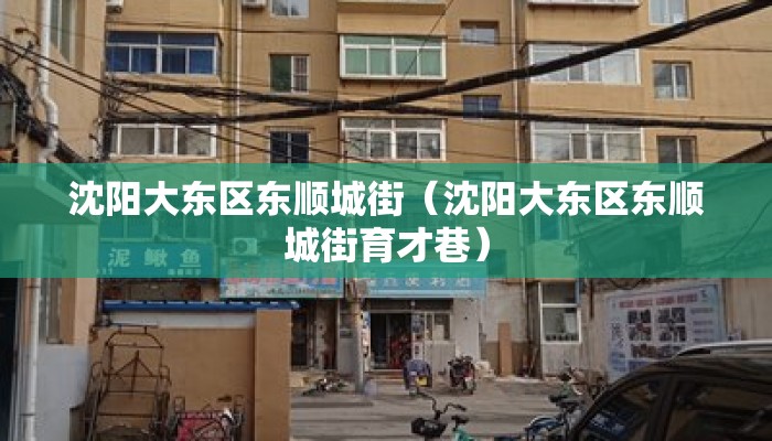 沈阳大东区东顺城街（沈阳大东区东顺城街育才巷）