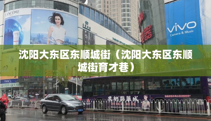 沈阳大东区东顺城街（沈阳大东区东顺城街育才巷）