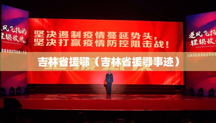 吉林省援鄂（吉林省援鄂事迹）