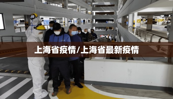 上海省疫情/上海省最新疫情