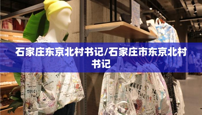 石家庄东京北村书记/石家庄市东京北村书记