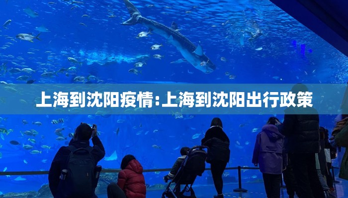 上海到沈阳疫情:上海到沈阳出行政策