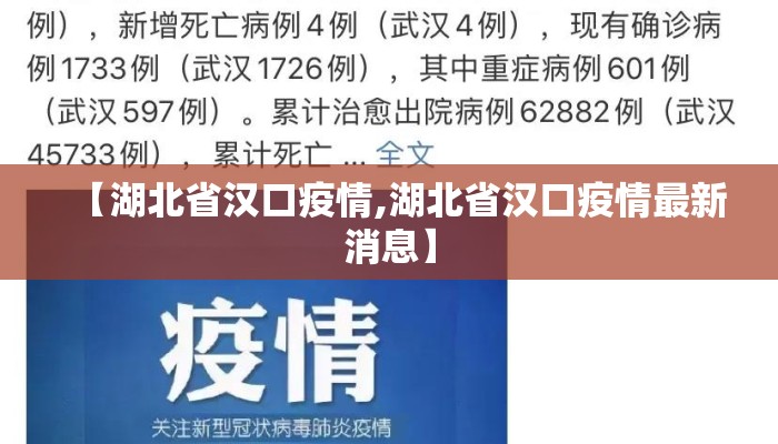 【湖北省汉口疫情,湖北省汉口疫情最新消息】