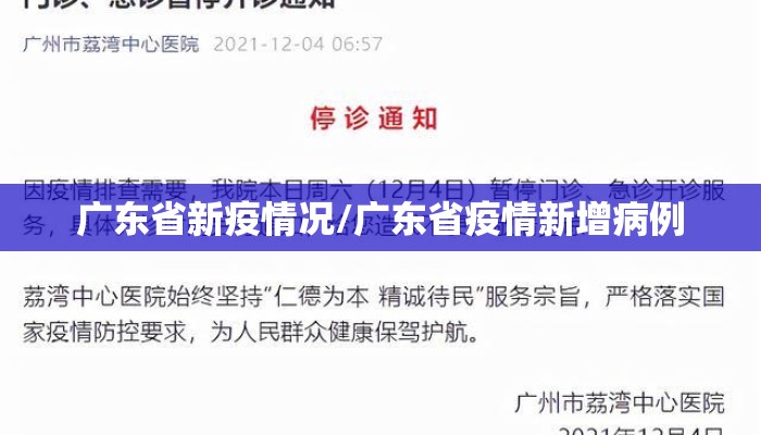 广东省新疫情况/广东省疫情新增病例
