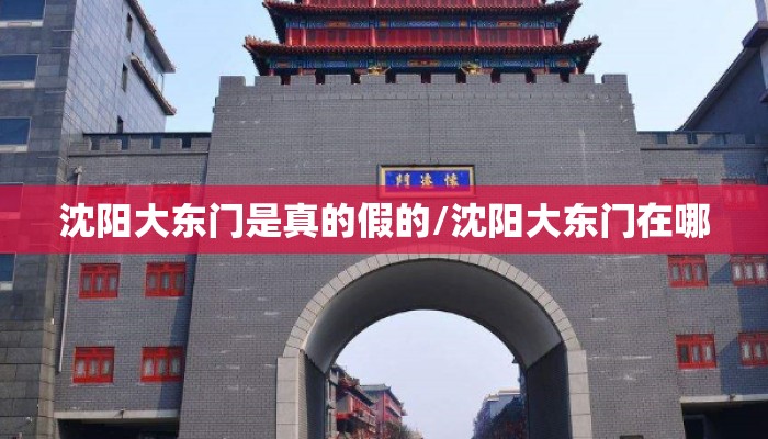 沈阳大东门是真的假的/沈阳大东门在哪