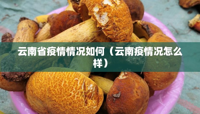 云南省疫情情况如何（云南疫情况怎么样）