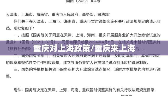重庆对上海政策/重庆来上海