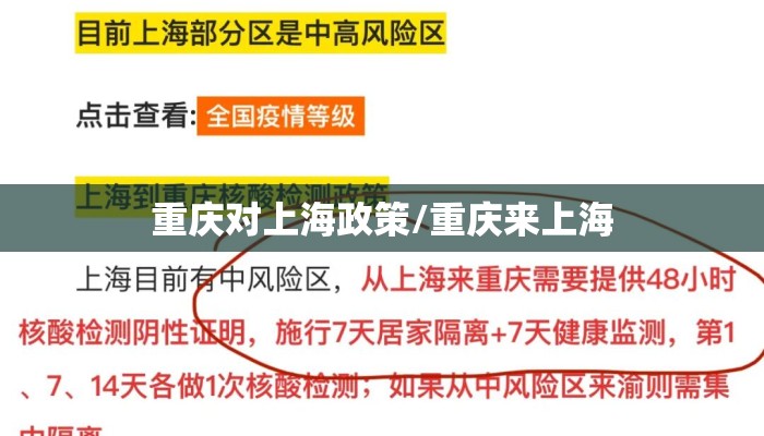 重庆对上海政策/重庆来上海