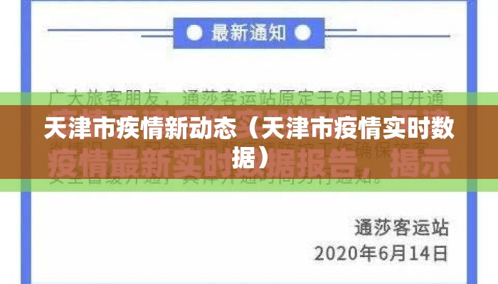 天津市疾情新动态（天津市疫情实时数据）
