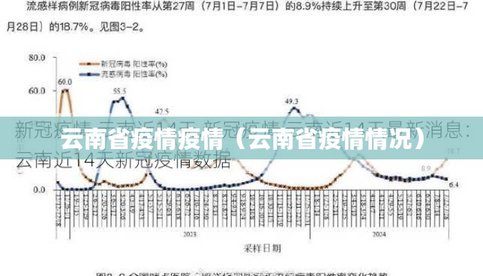 云南省疫情疫情（云南省疫情情况）