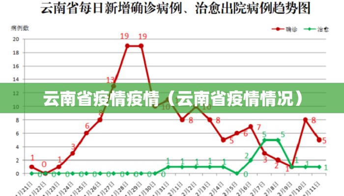 云南省疫情疫情（云南省疫情情况）