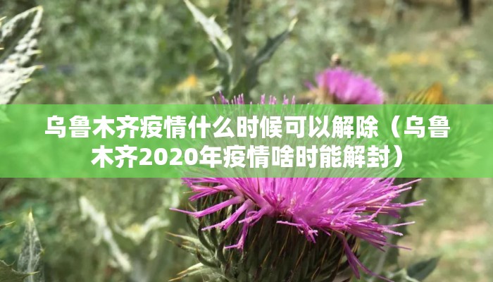 乌鲁木齐疫情什么时候可以解除（乌鲁木齐2020年疫情啥时能解封）