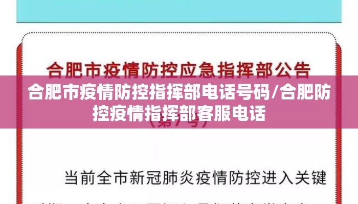 合肥市疫情防控指挥部电话号码/合肥防控疫情指挥部客服电话