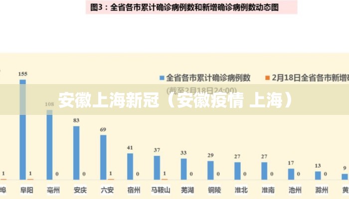 安徽上海新冠（安徽疫情 上海）