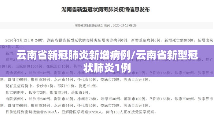 云南省新冠肺炎新增病例/云南省新型冠状肺炎1例