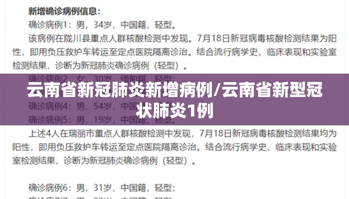云南省新冠肺炎新增病例/云南省新型冠状肺炎1例