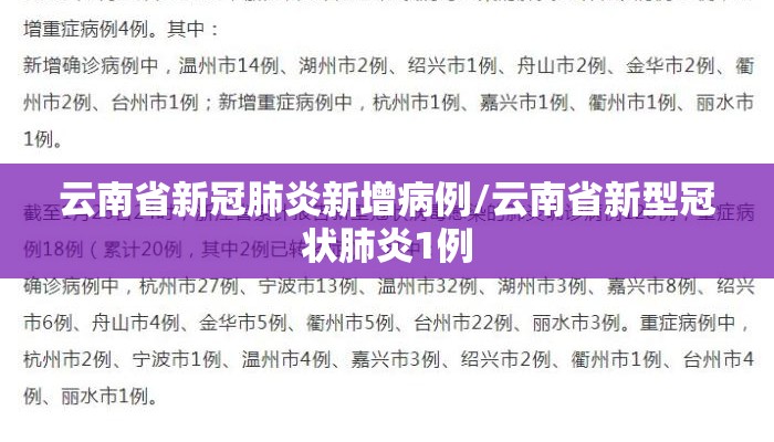 云南省新冠肺炎新增病例/云南省新型冠状肺炎1例