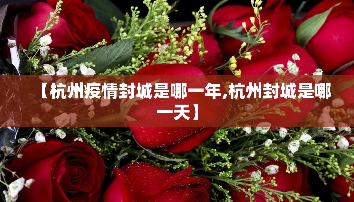 【杭州疫情封城是哪一年,杭州封城是哪一天】