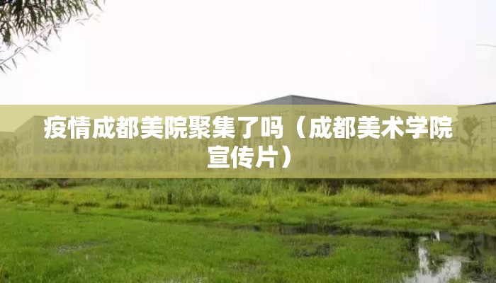 疫情成都美院聚集了吗（成都美术学院宣传片）