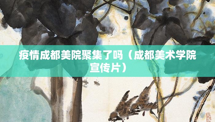 疫情成都美院聚集了吗（成都美术学院宣传片）
