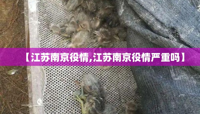 【江苏南京役情,江苏南京役情严重吗】