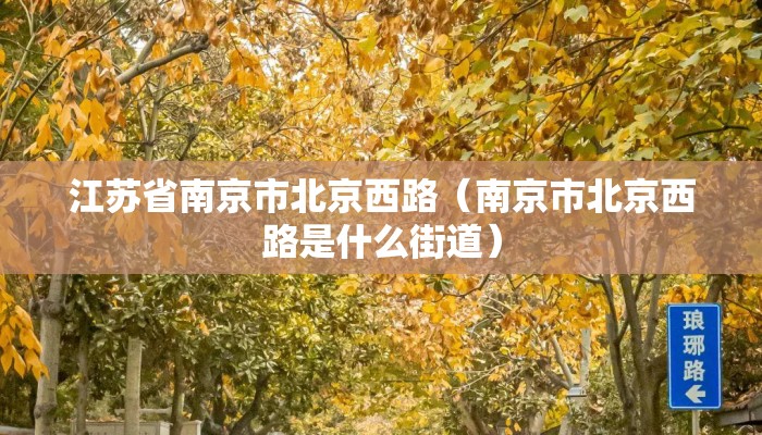 江苏省南京市北京西路（南京市北京西路是什么街道）