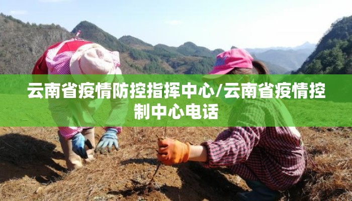 云南省疫情防控指挥中心/云南省疫情控制中心电话