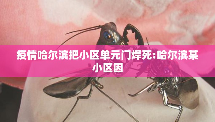 疫情哈尔滨把小区单元门焊死:哈尔滨某小区因