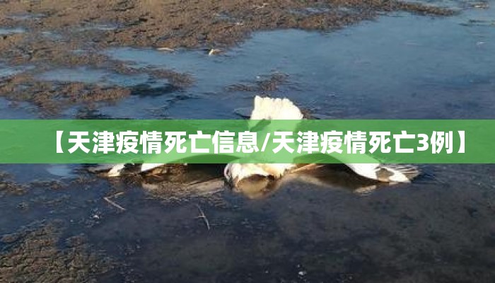 【天津疫情死亡信息/天津疫情死亡3例】