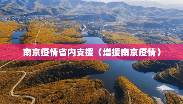南京疫情省内支援（增援南京疫情）