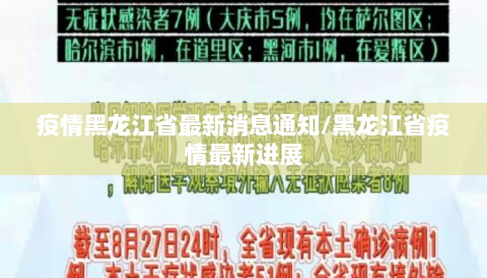 疫情黑龙江省最新消息通知/黑龙江省疫情最新进展