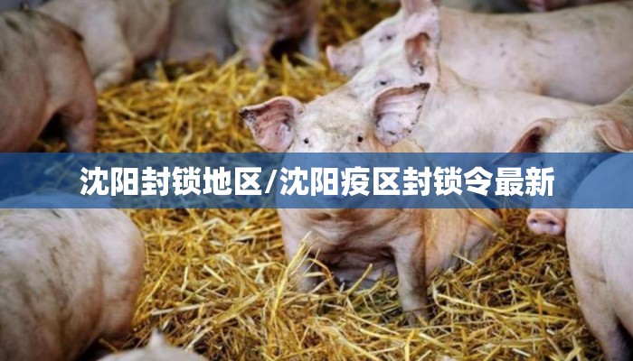 沈阳封锁地区/沈阳疫区封锁令最新