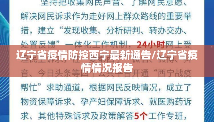 辽宁省疫情防控西宁最新通告/辽宁省疫情情况报告
