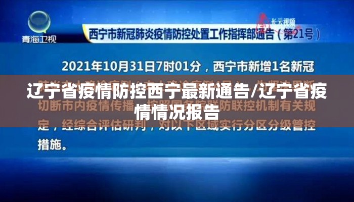 辽宁省疫情防控西宁最新通告/辽宁省疫情情况报告