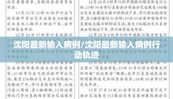 沈阳最新输入病例/沈阳最新输入病例行动轨迹