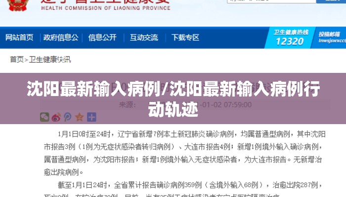 沈阳最新输入病例/沈阳最新输入病例行动轨迹